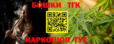 тгк Заводоуковск
