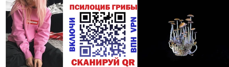 shop формула  Рославль  Галлюциногенные грибы прущие грибы  купить наркотики цена 