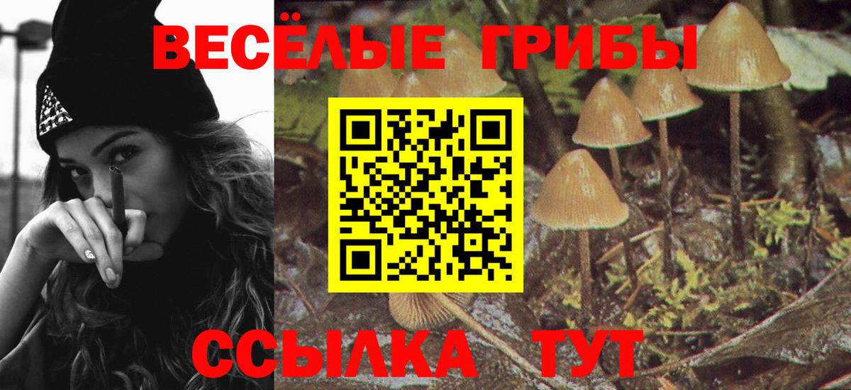 Галлюциногенные грибы MAGIC MUSHROOMS Рославль
